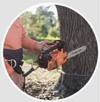 Valley Tree Services image 4
